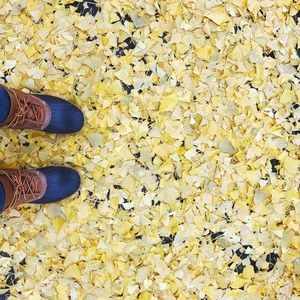 Meet your Posher, Ryleigh